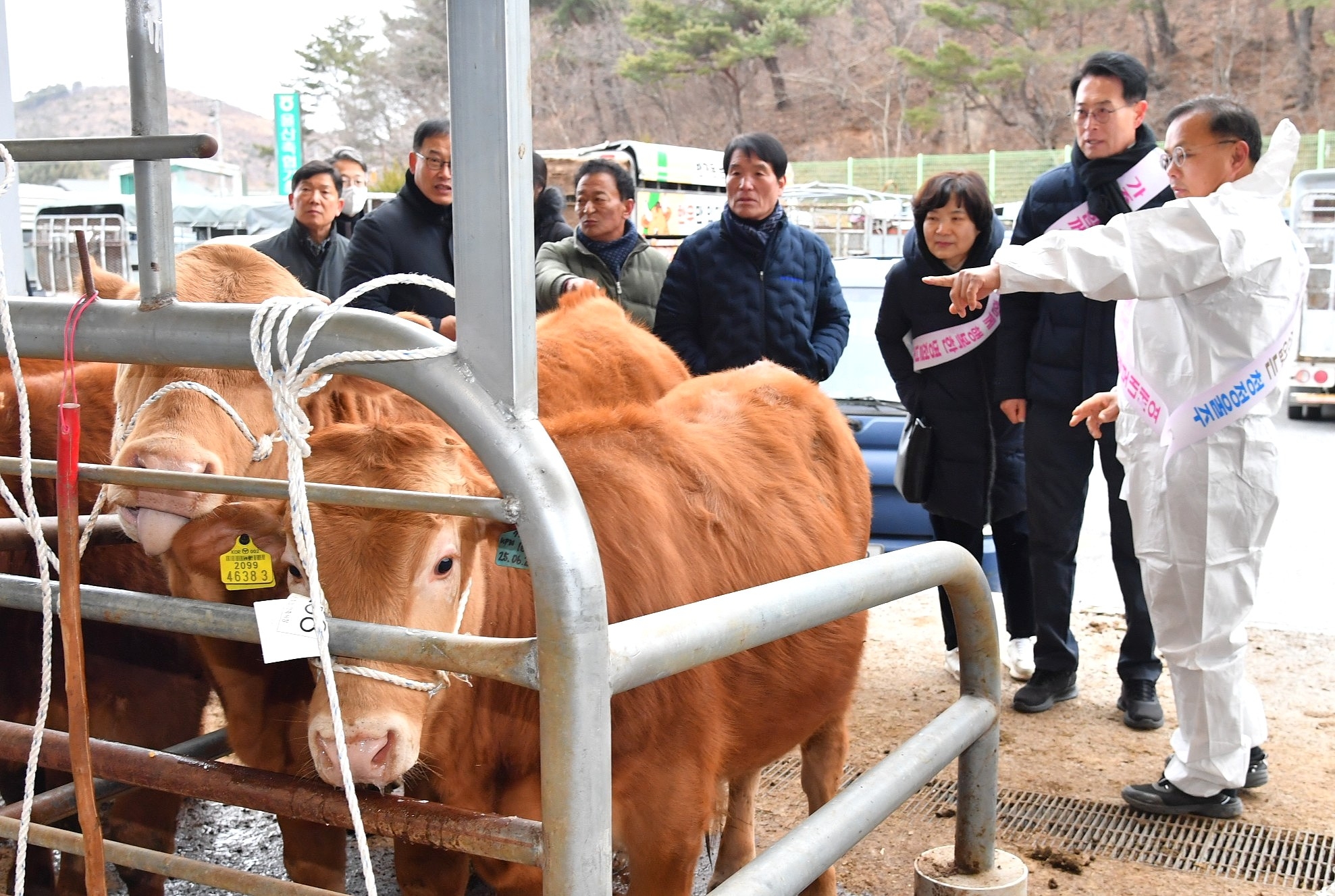 울산가축시장 방문 _20260207