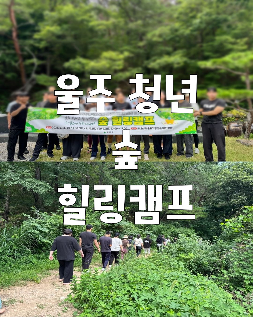 [울주 청년 숲 힐링캠프 2차] 프로그램