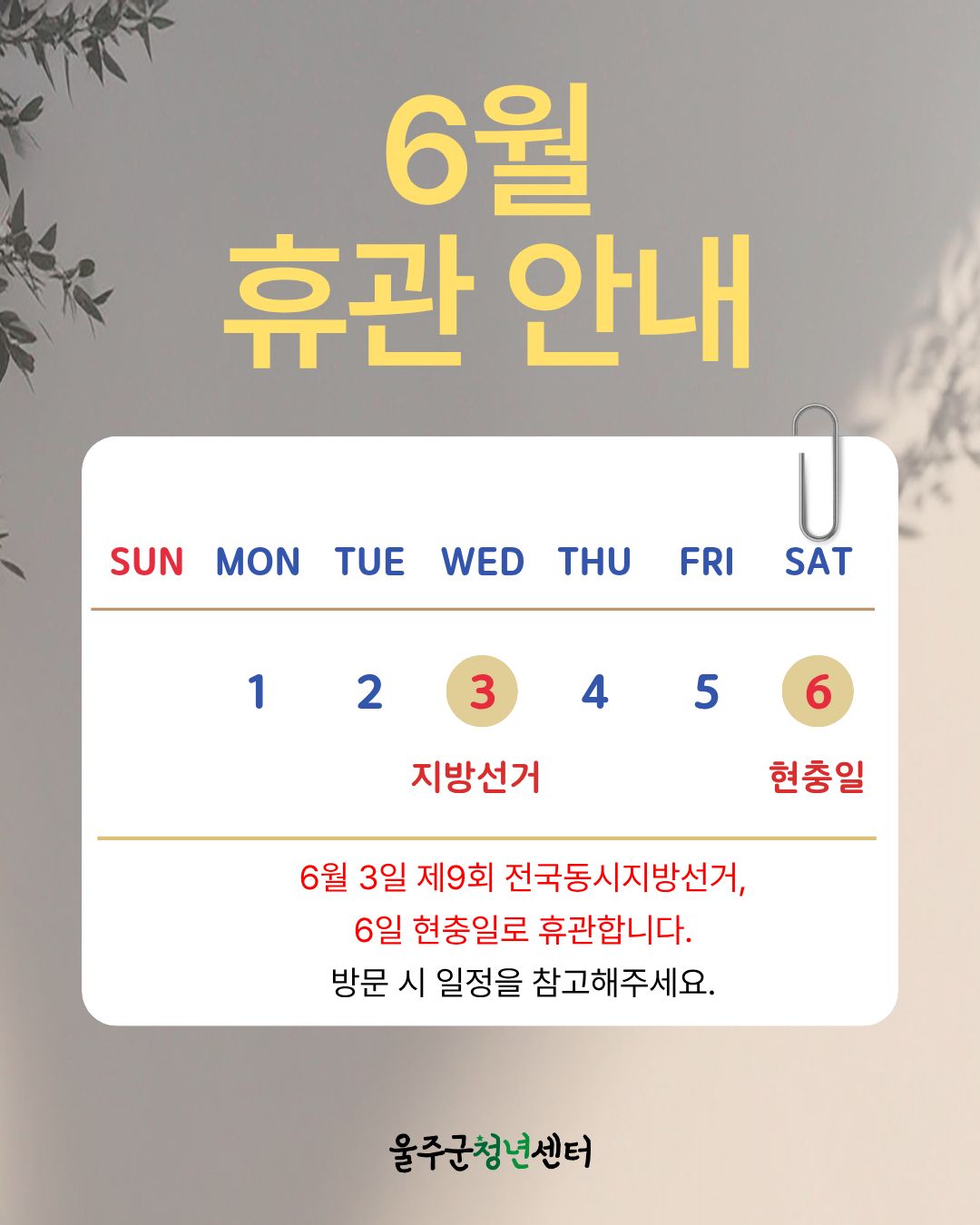 프로그램 이미지