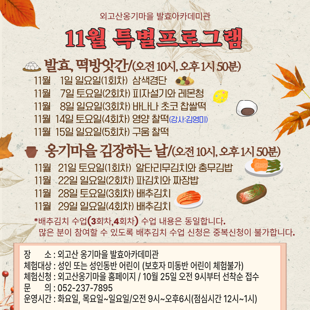 2026년 11월 특별프로그램